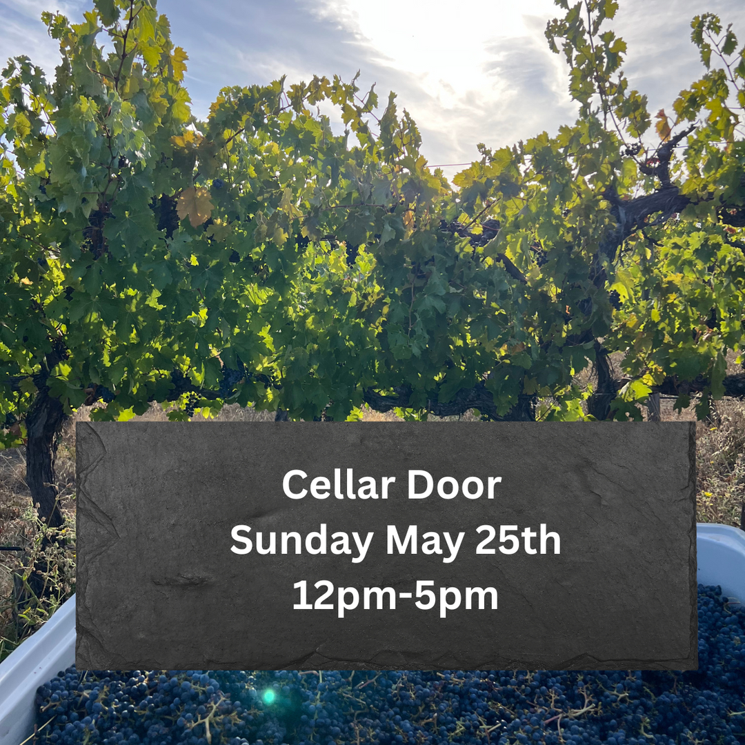 Cellar Door Opening