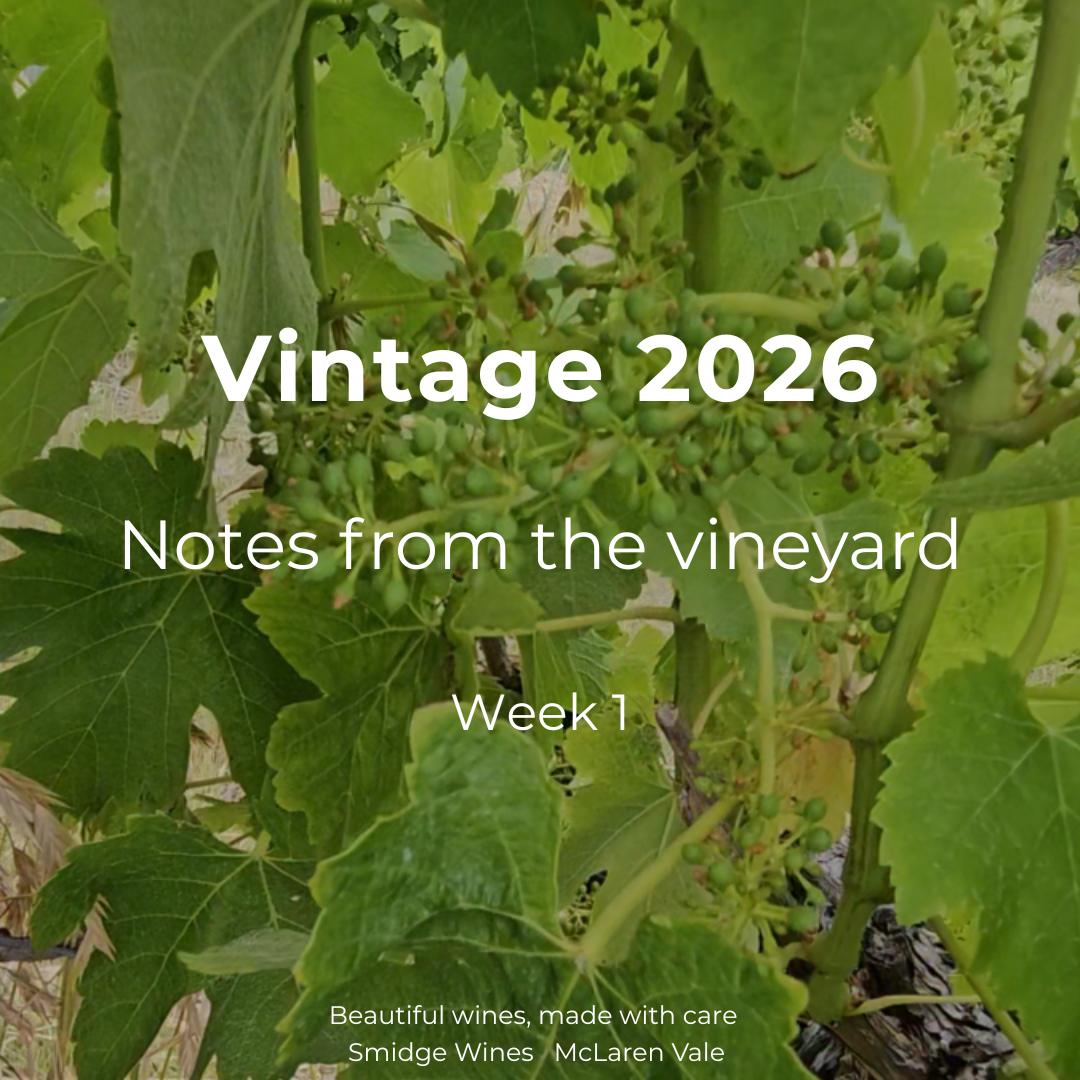 McLaren Vale Vintage 2026 Update 1: Flowering, Yield & Harvest Outlook | Smidge Wines