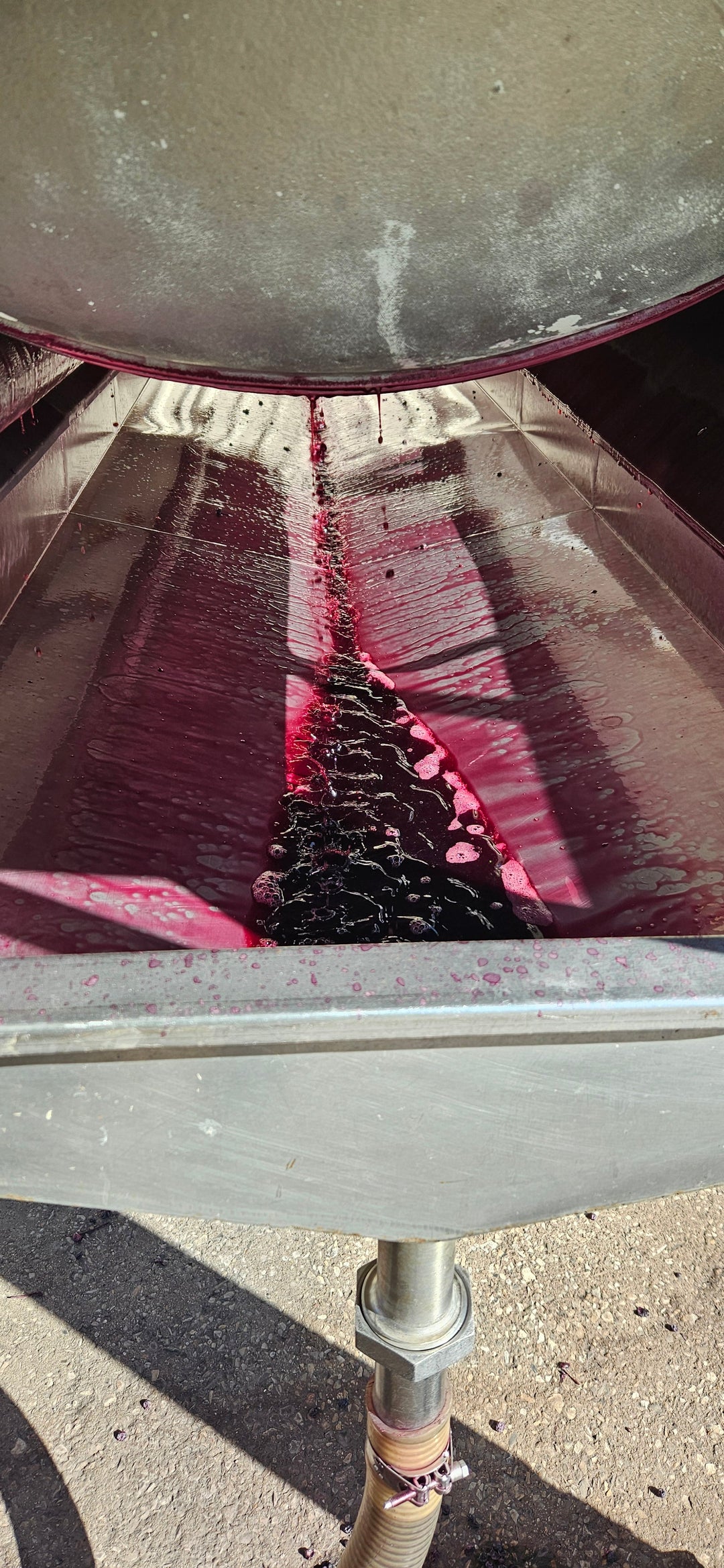 Limited Release Wines