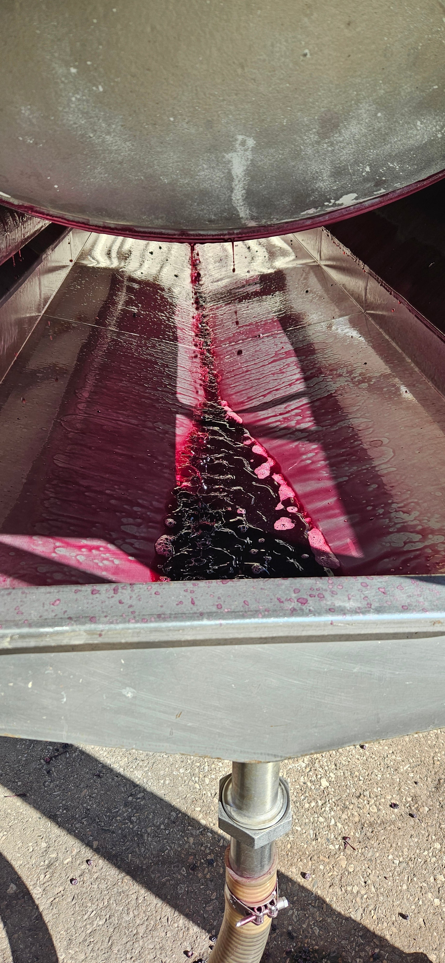 Limited Release Wines